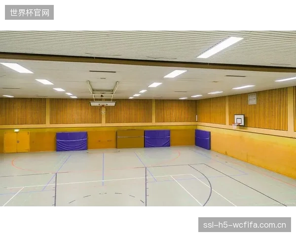 为什么巨额投资的体育馆声学工程依然“嗡嗡作响”？混淆“吸音”与“隔音”正在导致投资错配