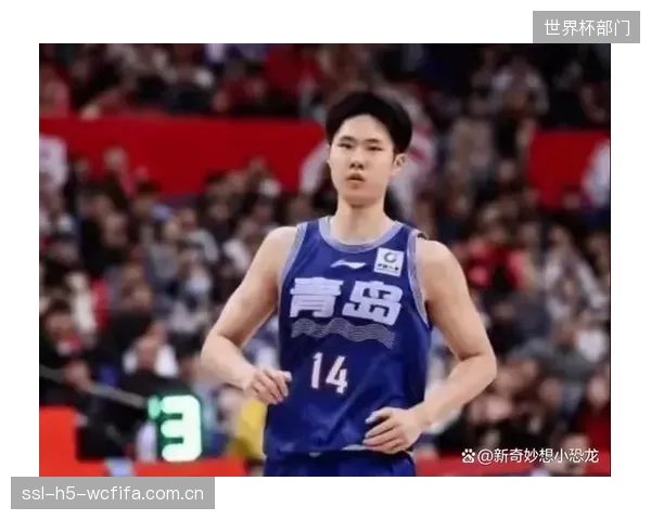 山东队或在第十四顺位选择一名高大锋线，以平衡内外线实力。
